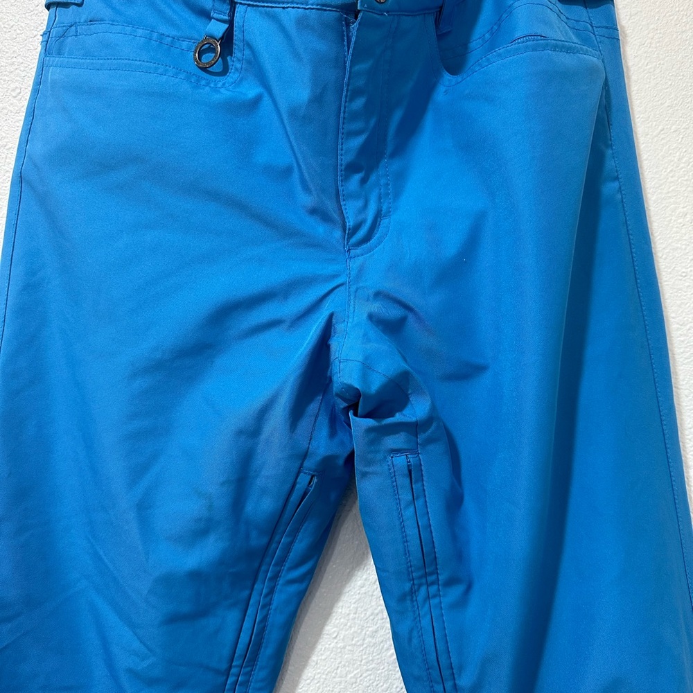 Roxy Blue ski pants